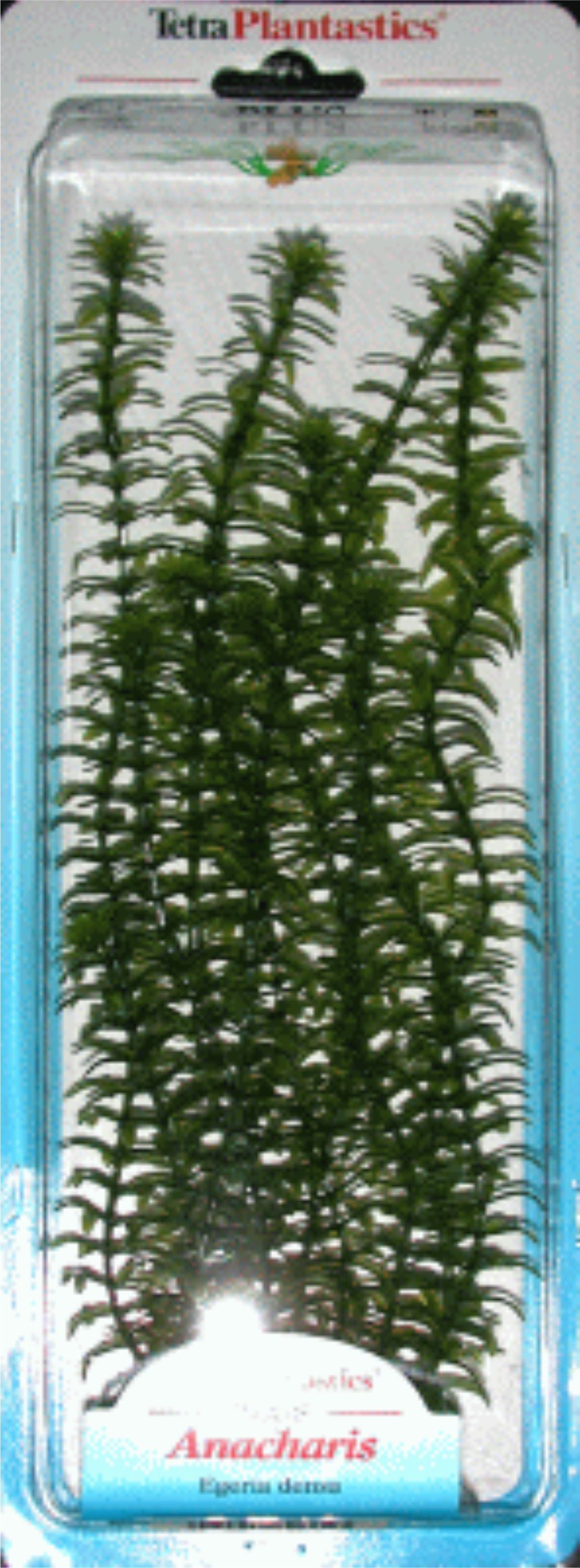 PLANTA ANACHARIS PLUS (28-33CM) ***